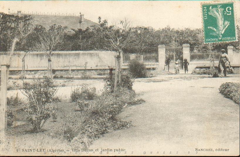 X SAINT LEU.jpg
